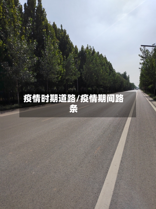 疫情时期道路/疫情期间路条-第1张图片