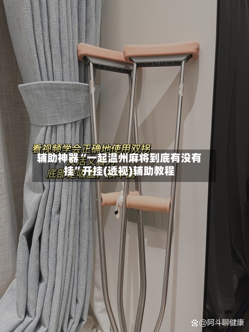 辅助神器“一起温州麻将到底有没有挂”开挂(透视)辅助教程