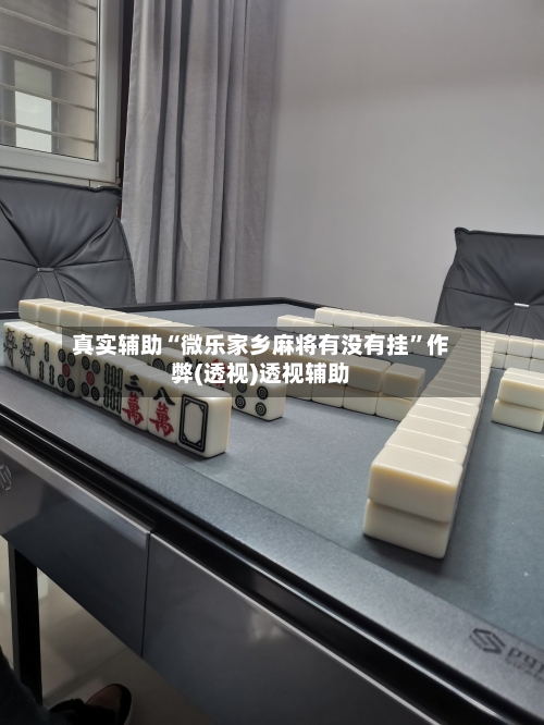 真实辅助“微乐家乡麻将有没有挂”作弊(透视)透视辅助-第1张图片