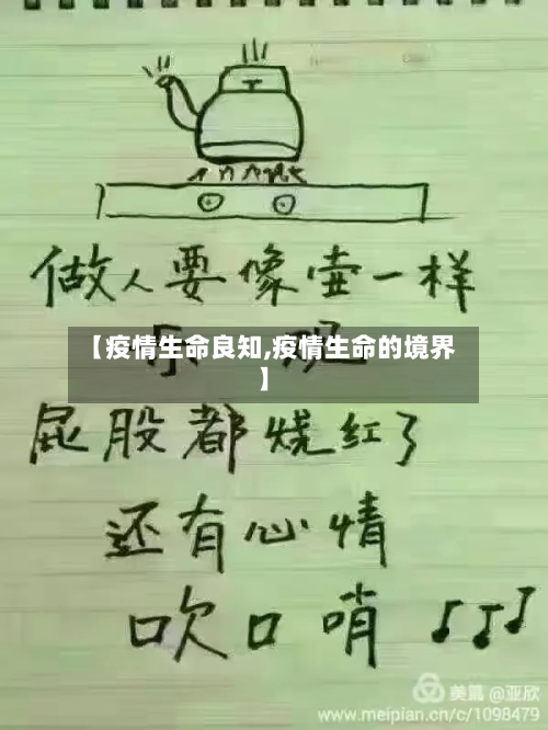 【疫情生命良知,疫情生命的境界】-第3张图片