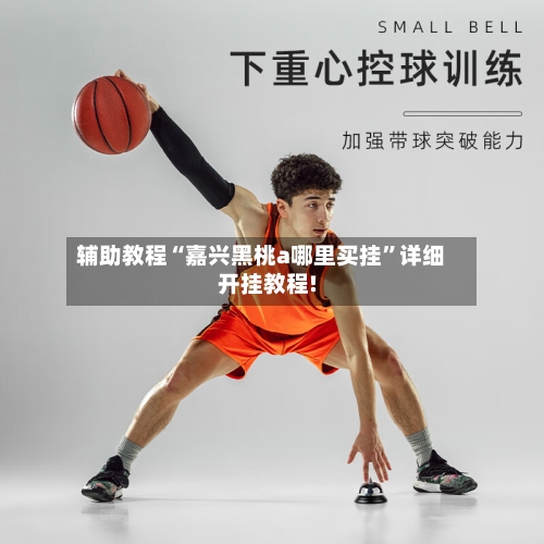 辅助教程“嘉兴黑桃a哪里买挂	”详细开挂教程!-第2张图片