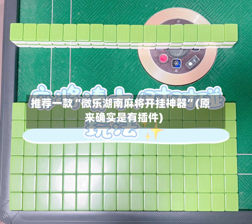 推荐一款“微乐湖南麻将开挂神器”(原来确实是有插件)