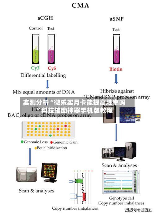 实测分析“微乐买月卡能提高胜率吗”科技辅助神器手机版教程