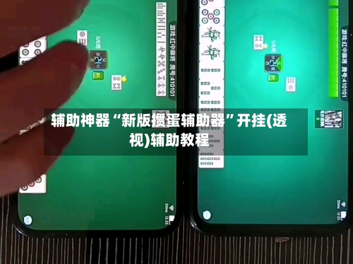 辅助神器“新版掼蛋辅助器”开挂(透视)辅助教程-第2张图片