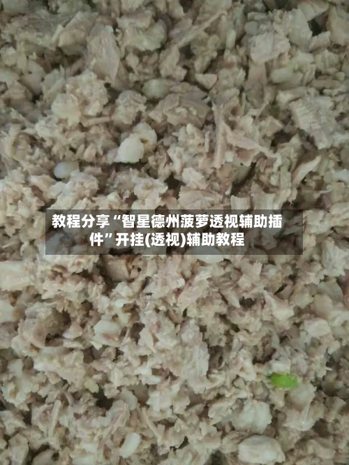 教程分享“智星德州菠萝透视辅助插件”开挂(透视)辅助教程