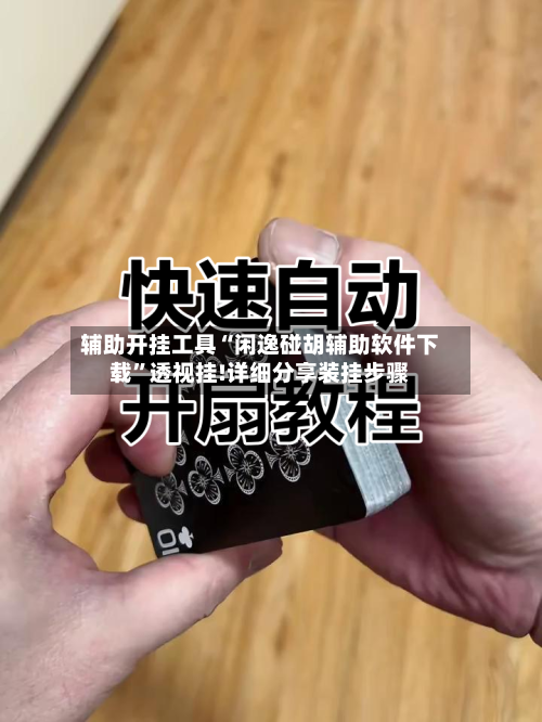 辅助开挂工具“闲逸碰胡辅助软件下载”透视挂!详细分享装挂步骤