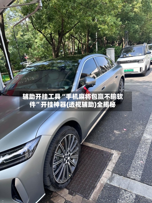 辅助开挂工具“手机麻将包赢不输软件	”开挂神器{透视辅助}全揭秘-第2张图片