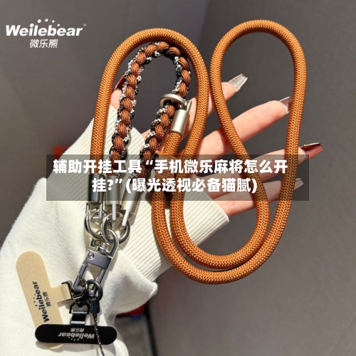 辅助开挂工具“手机微乐麻将怎么开挂?”(曝光透视必备猫腻)