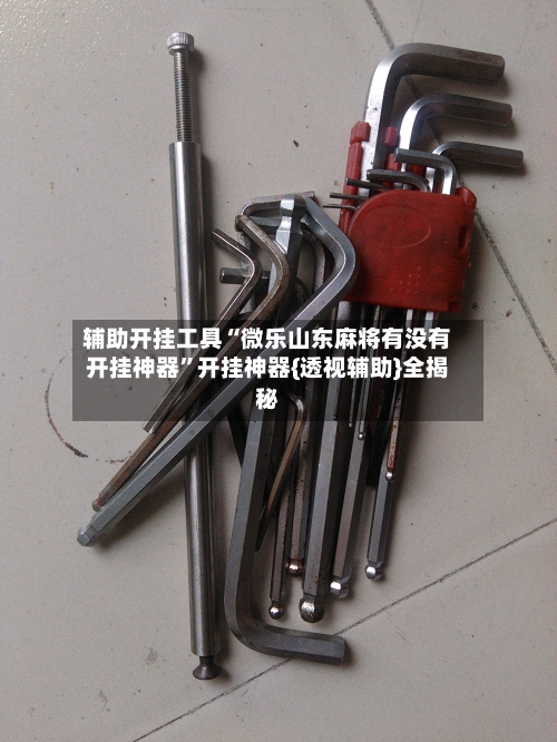 辅助开挂工具“微乐山东麻将有没有开挂神器	”开挂神器{透视辅助}全揭秘-第2张图片