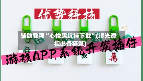 辅助教程“心悦踢坑挂下载	”(曝光透视必备猫腻)-第2张图片