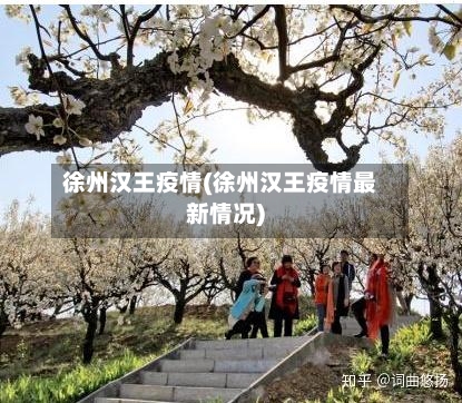 徐州汉王疫情(徐州汉王疫情最新情况)