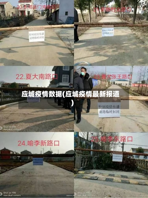应城疫情数据(应城疫情最新报道)-第2张图片