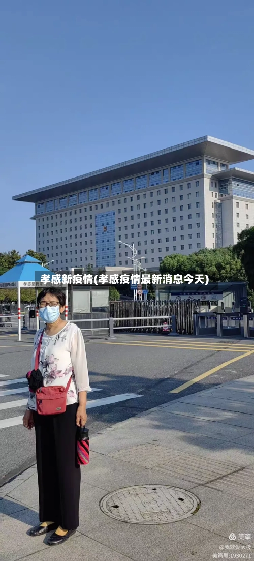 孝感新疫情(孝感疫情最新消息今天)-第3张图片