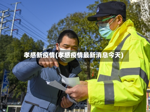 孝感新疫情(孝感疫情最新消息今天)-第2张图片