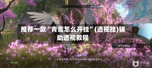 推荐一款“青鸾怎么开挂”(透视挂)辅助透视教程-第2张图片