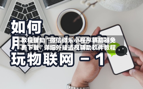 教程辅助“微信微乐小程序辅助器免费下载”详细外挂透视辅助软件教程-第1张图片