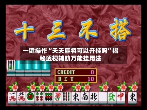 一键操作“天天麻将可以开挂吗	”揭秘透视辅助万能挂用法-第2张图片
