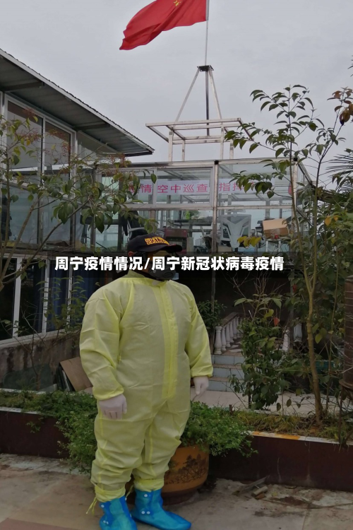 周宁疫情情况/周宁新冠状病毒疫情-第3张图片