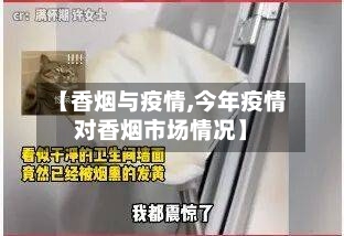 【香烟与疫情,今年疫情对香烟市场情况】-第3张图片