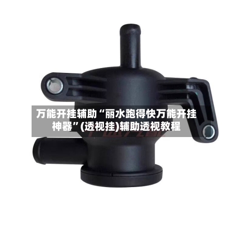 万能开挂辅助“丽水跑得快万能开挂神器”(透视挂)辅助透视教程-第1张图片