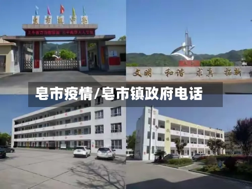 皂市疫情/皂市镇政府电话