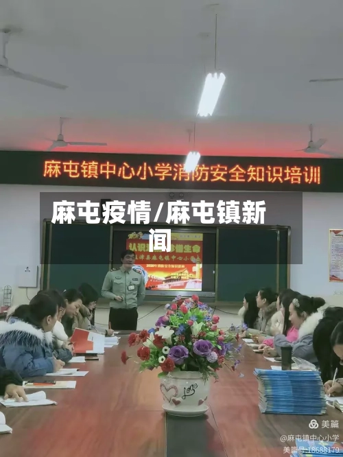 麻屯疫情/麻屯镇新闻-第2张图片