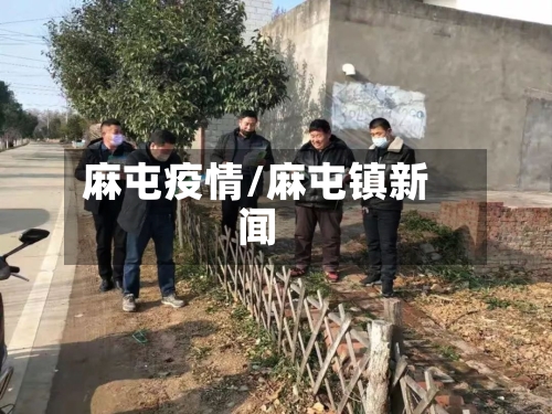 麻屯疫情/麻屯镇新闻-第3张图片