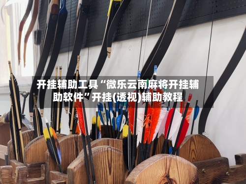 开挂辅助工具“微乐云南麻将开挂辅助软件”开挂(透视)辅助教程