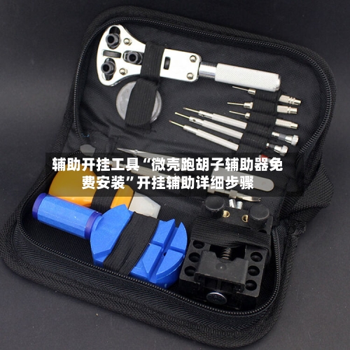 辅助开挂工具“微壳跑胡子辅助器免费安装”开挂辅助详细步骤