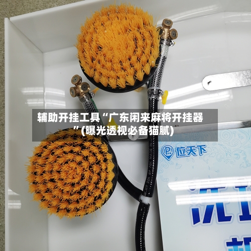 辅助开挂工具“广东闲来麻将开挂器”(曝光透视必备猫腻)-第1张图片