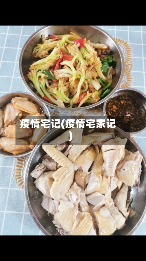 疫情宅记(疫情宅家记)-第2张图片