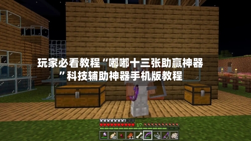 玩家必看教程“嘟嘟十三张助赢神器”科技辅助神器手机版教程-第1张图片