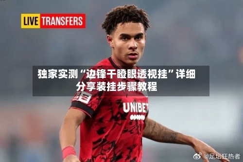 独家实测“边锋干瞪眼透视挂”详细分享装挂步骤教程-第2张图片