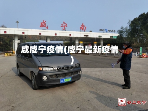 咸咸宁疫情(咸宁最新疫情)-第3张图片