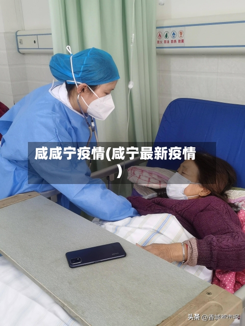 咸咸宁疫情(咸宁最新疫情)-第2张图片