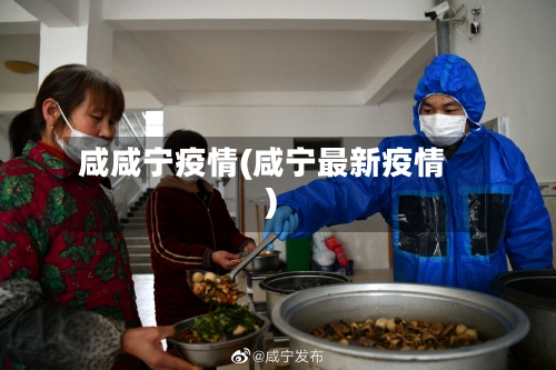 咸咸宁疫情(咸宁最新疫情)-第1张图片