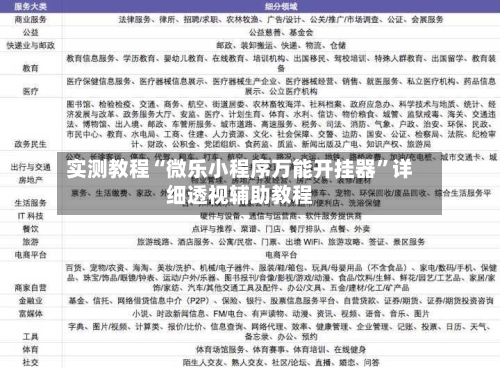 实测教程“微乐小程序万能开挂器	”详细透视辅助教程-第3张图片