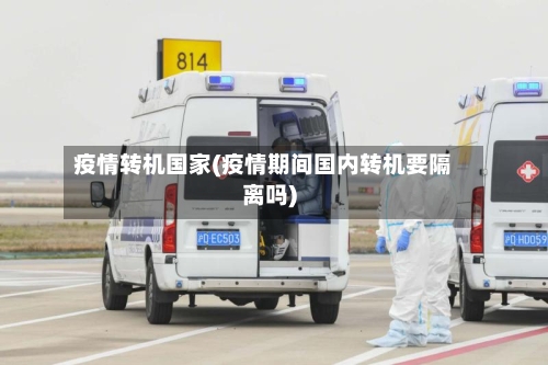 疫情转机国家(疫情期间国内转机要隔离吗)-第2张图片