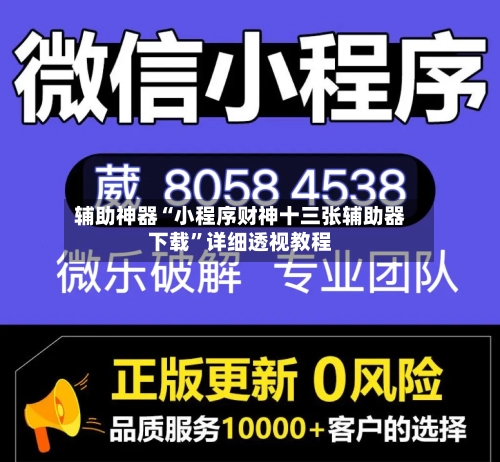 辅助神器“小程序财神十三张辅助器下载	”详细透视教程-第2张图片