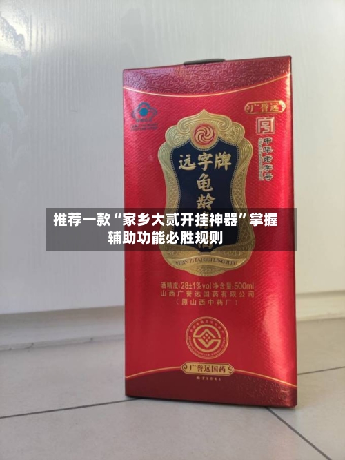 推荐一款“家乡大贰开挂神器	”掌握辅助功能必胜规则-第3张图片