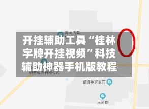 开挂辅助工具“桂林字牌开挂视频	”科技辅助神器手机版教程-第3张图片