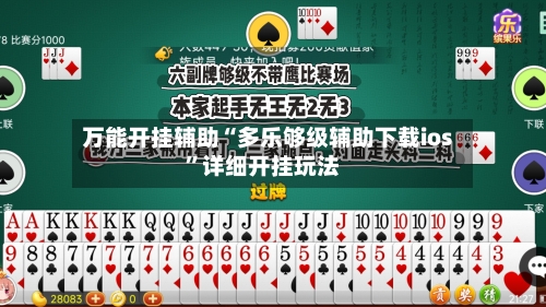 万能开挂辅助“多乐够级辅助下载ios”详细开挂玩法-第1张图片