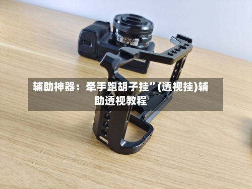 辅助神器：牵手跑胡子挂”(透视挂)辅助透视教程-第3张图片