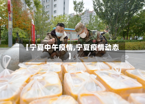 【宁夏中午疫情,宁夏疫情动态】-第2张图片