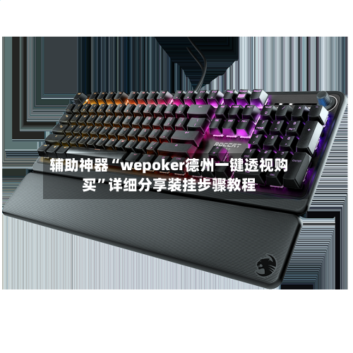 辅助神器“wepoker德州一键透视购买	”详细分享装挂步骤教程-第2张图片