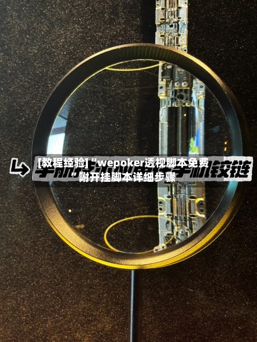 [教程经验]“wepoker透视脚本免费”附开挂脚本详细步骤-第2张图片