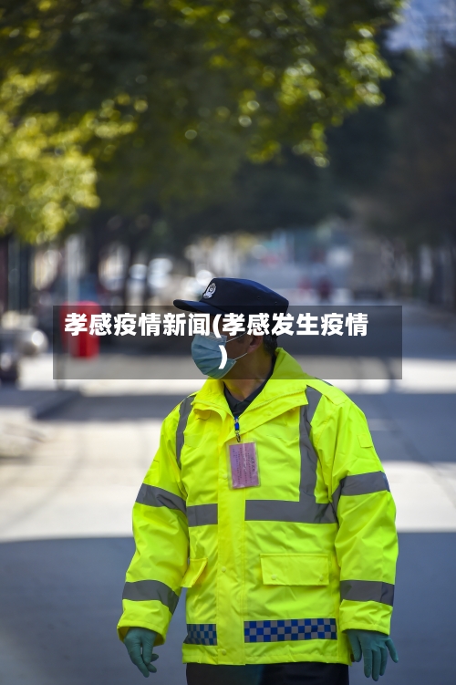 孝感疫情新闻(孝感发生疫情)-第1张图片