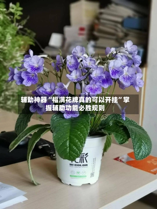 辅助神器“福满花牌真的可以开挂”掌握辅助功能必胜规则-第1张图片
