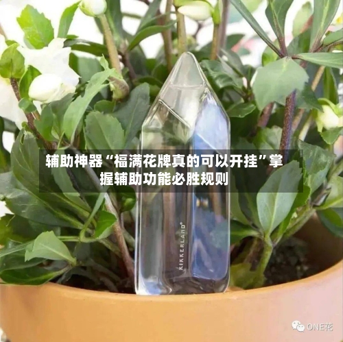 辅助神器“福满花牌真的可以开挂	”掌握辅助功能必胜规则-第2张图片