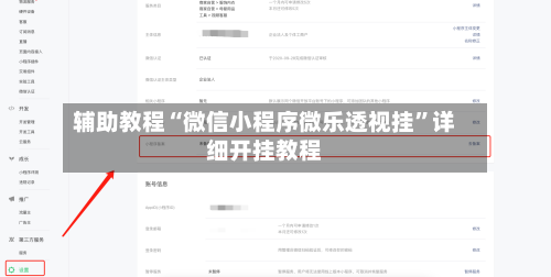 辅助教程“微信小程序微乐透视挂	”详细开挂教程-第2张图片